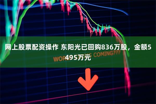 网上股票配资操作 东阳光已回购836万股，金额5495万元
