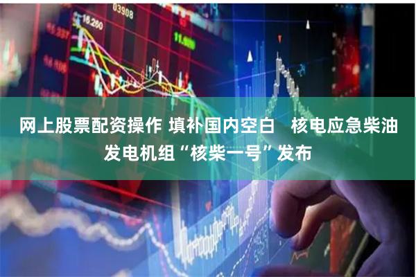 网上股票配资操作 填补国内空白   核电应急柴油发电机组“核柴一号”发布